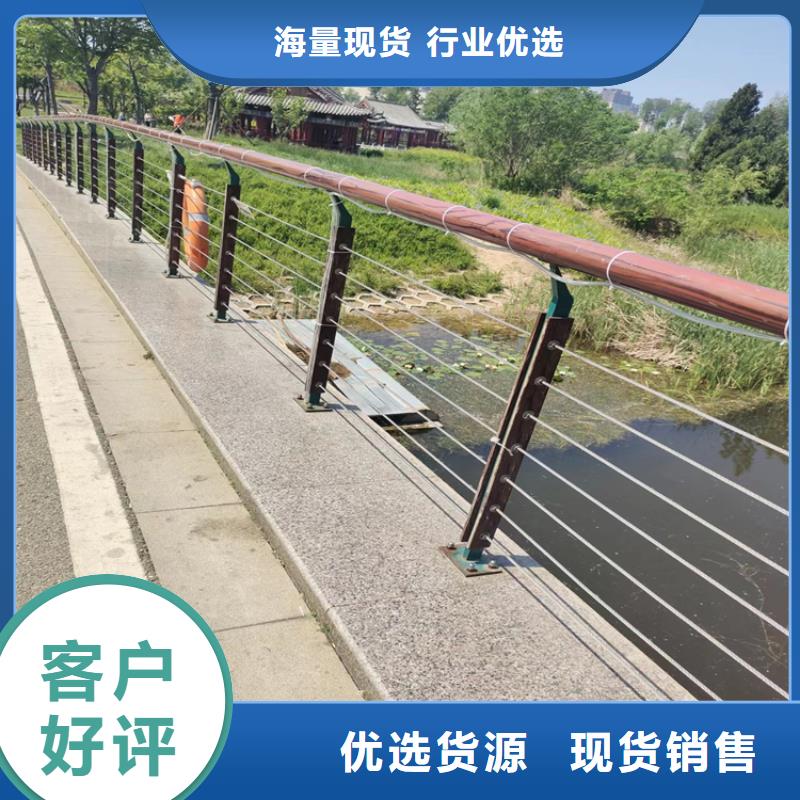浙江省当地【展鸿】方管桥梁防撞护栏可非标定做