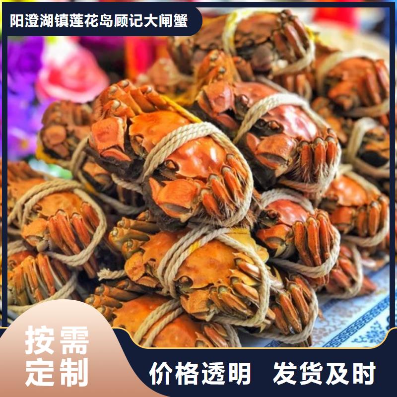 本土【顾记】南方大螃蟹价格多少钱一斤