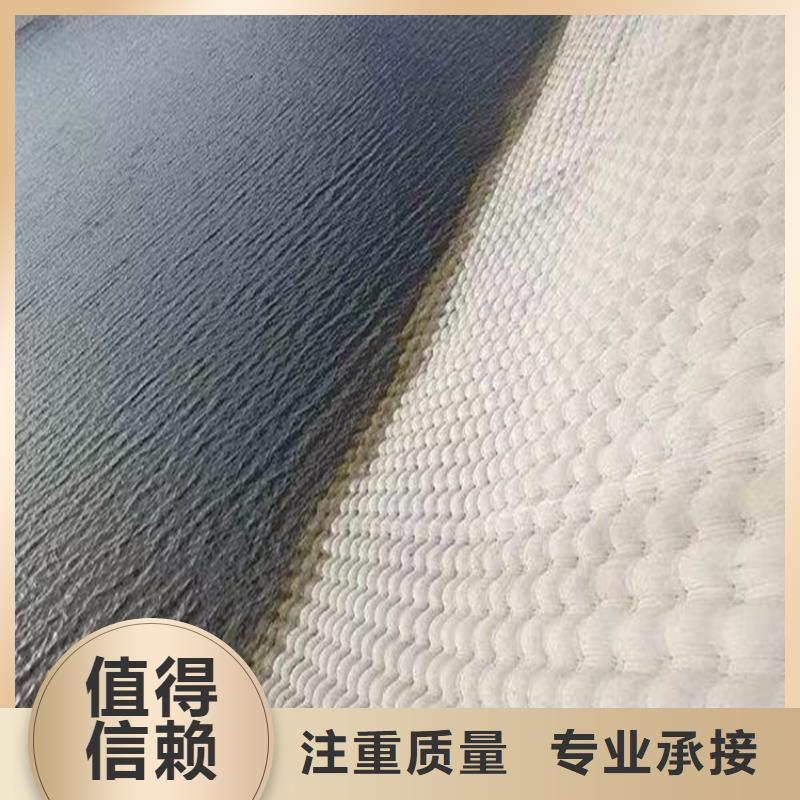 蛙人服务公司管道气囊封堵公司高品质