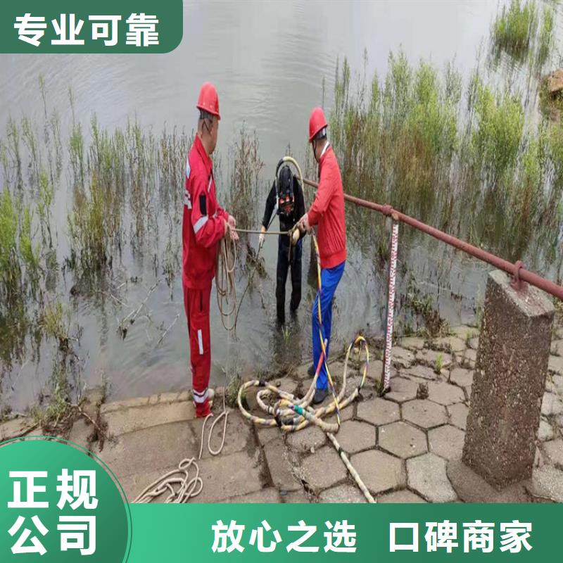 承接【明龙】水下检测公司 - 本地水下施工队伍