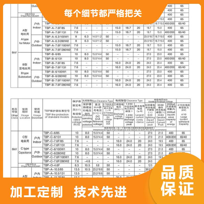 【订购【羿振】】过电压保护器RTB-Z-12.7KV/85