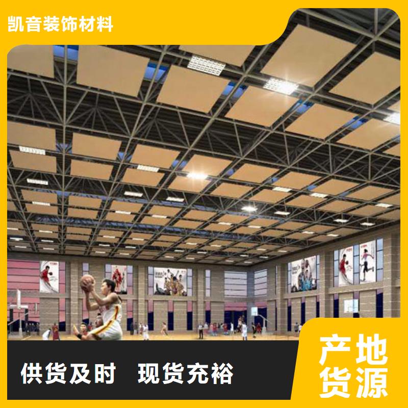 广东省中山市民众镇专业体育馆声学改造公司--2024最近方案/价格