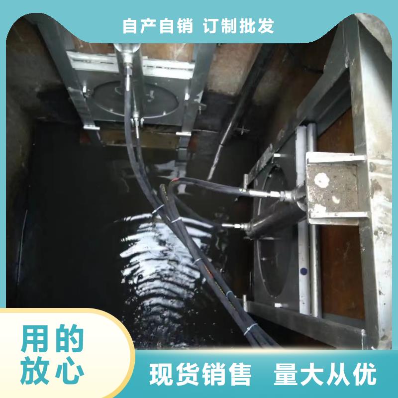 【瑞鑫】大丰区雨水污水不锈钢液压闸门井