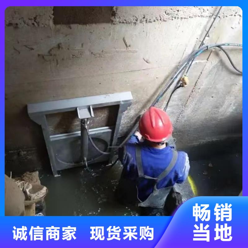广西省支持非标定制<瑞鑫>钟山截流污水闸门本地厂家质量保证