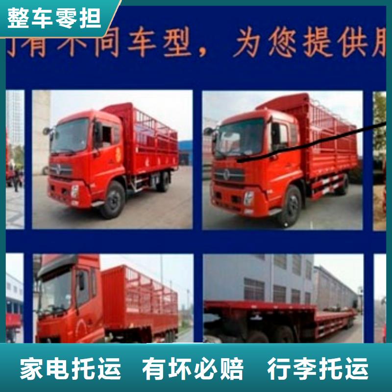 重庆到到泸州当地(国鼎)回程货车整车运输公司-销售价-2024已更新今日/消息