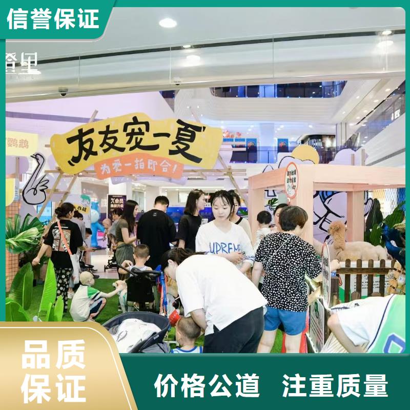 策划活动价格实惠