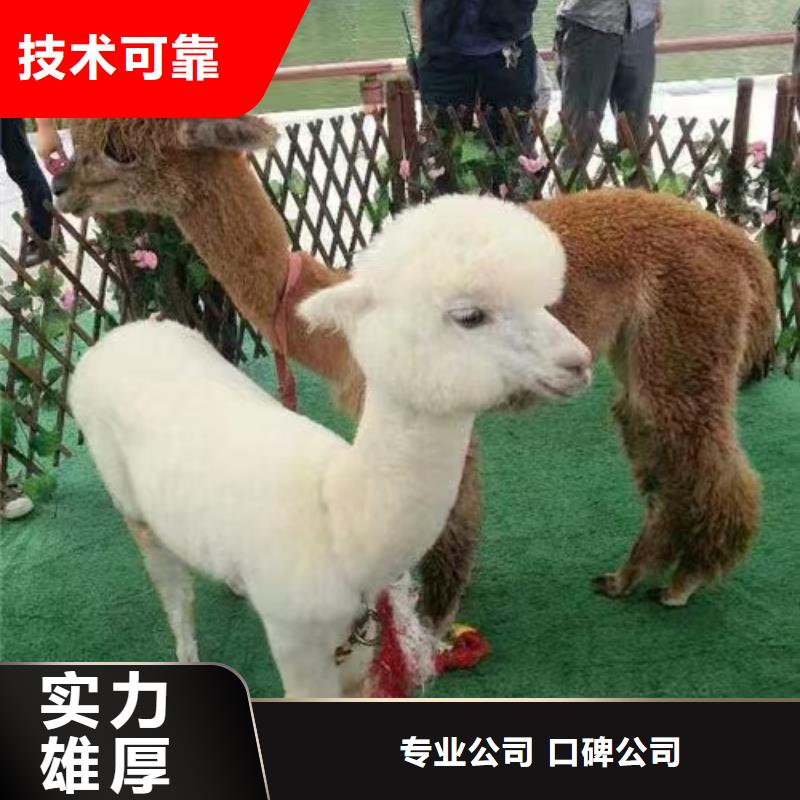 策划活动价格实惠