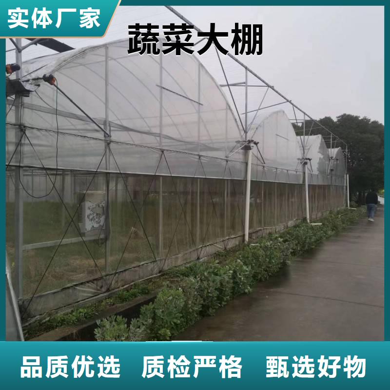 宁县单体蔬菜大棚厂家供应