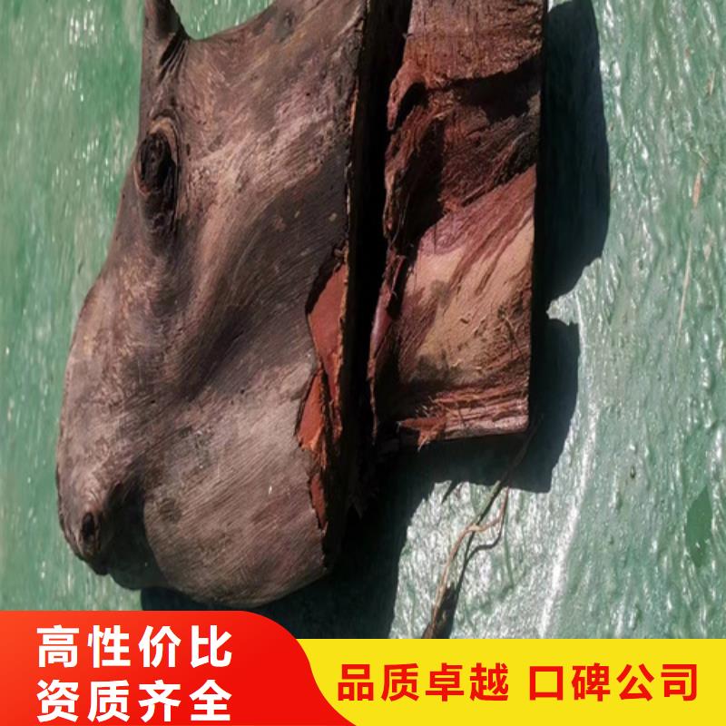技术精湛【粤龙】水下打捞手机欢迎咨询