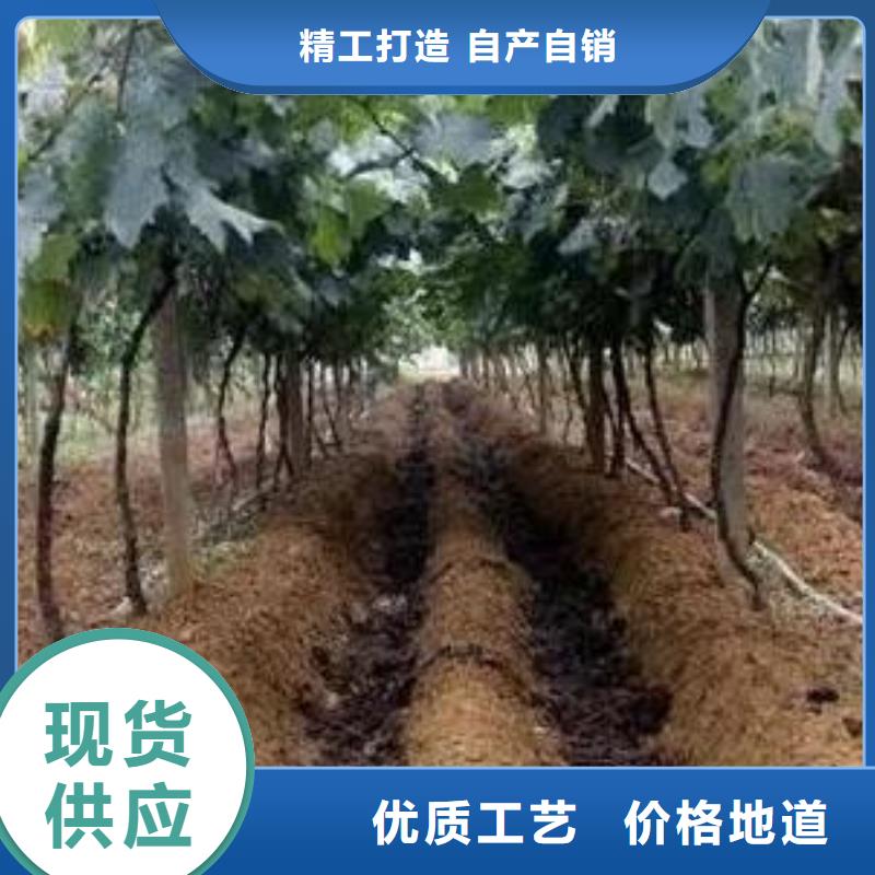 屯昌县发酵鸡粪提升土壤肥力
