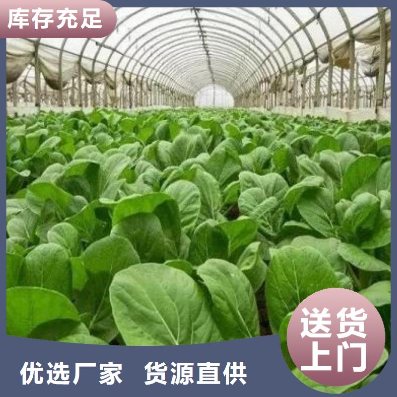 阳泉晋中忻州鸡粪有机肥几吨发货