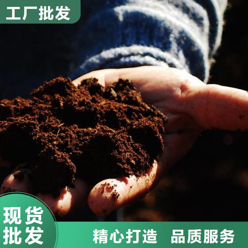聊城鄄城东明有机肥助力环境治理