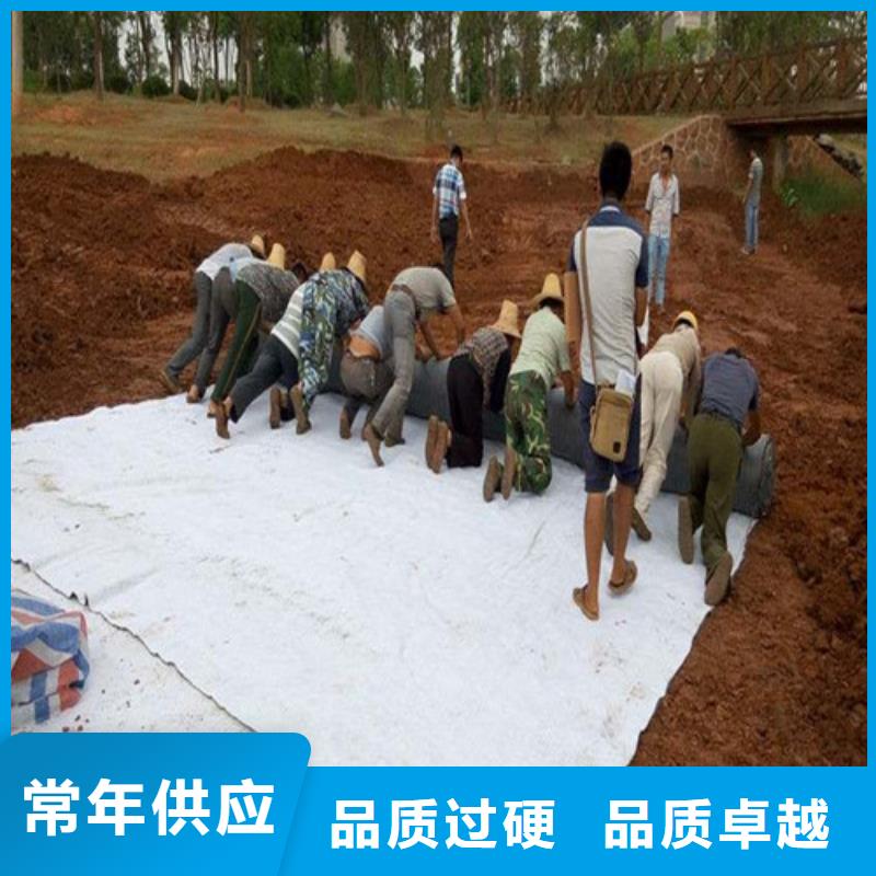 防水毯-覆膜膨润土防水毯生产厂家