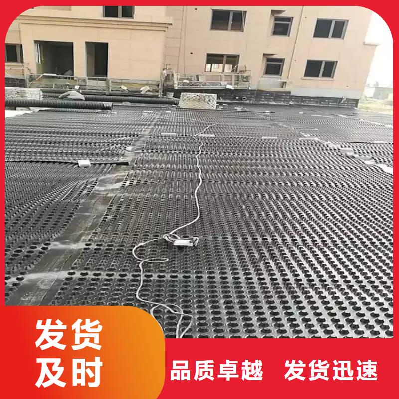 排水板20mm厚滤水板实力大厂家